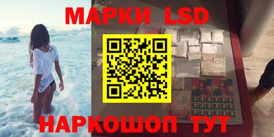 прущие грибы Донецк
