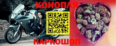 прущие грибы Донецк