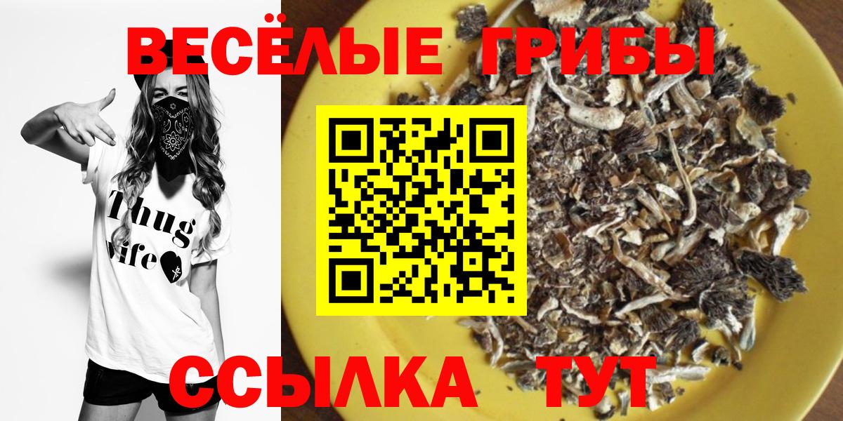 Канаш  Галлюциногенные грибы прущие грибы  Вход с VPN  Псилоцибиновые грибы прущие грибы 